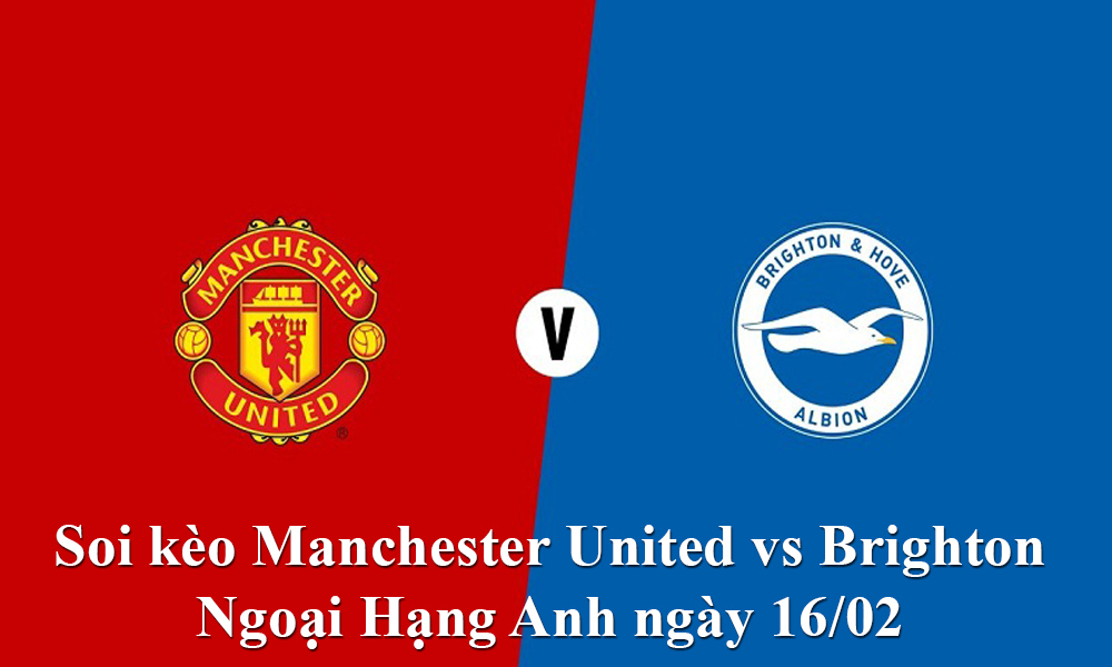 Soi kèo Manchester United vs Brighton - Ngoại Hạng Anh ngày 16/02